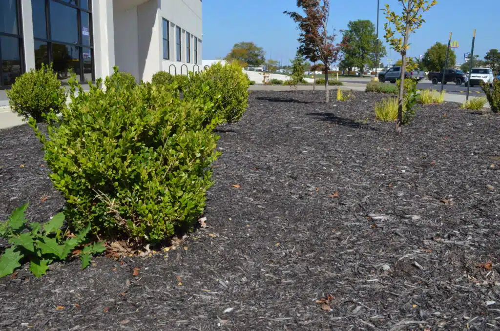 local landscaping company near me