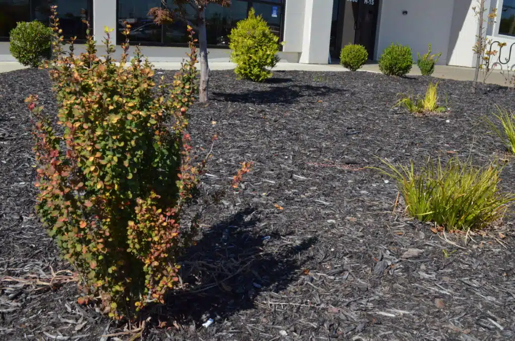 landscaping near me owensboro ky