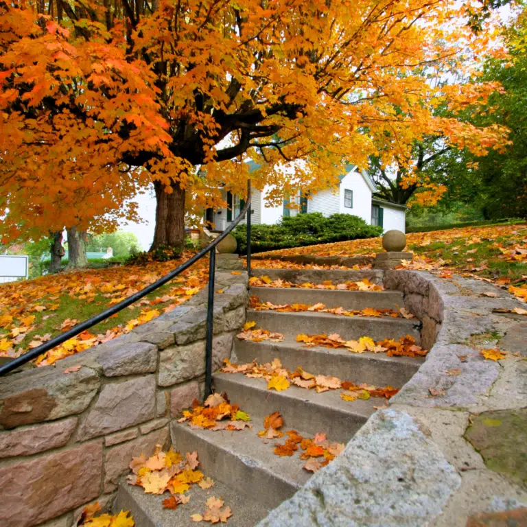 landscaping projects fall near me owensboro ky